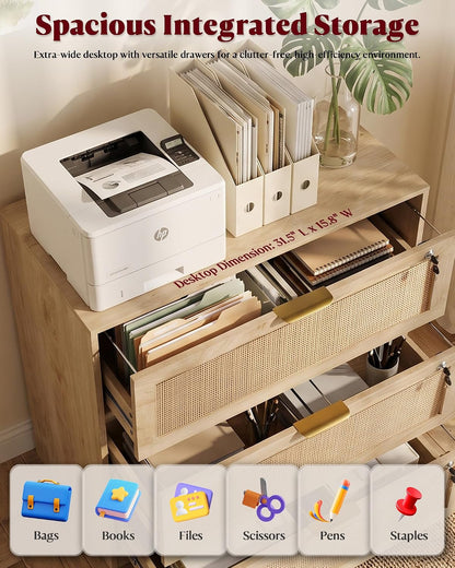 Extra Large 3 Drawer Genuine Rattan Home Storage Cabinet